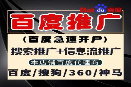 百度竞价排名机制：成功案例与策略探讨